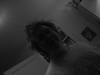 IMG_7531.JPG
