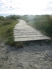 Road_to_Paradise_blur.jpg