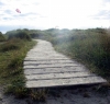 Road_to_Paradise_cut2.JPG