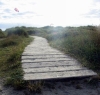 Road_to_Paradise_cut2_resiz.jpg